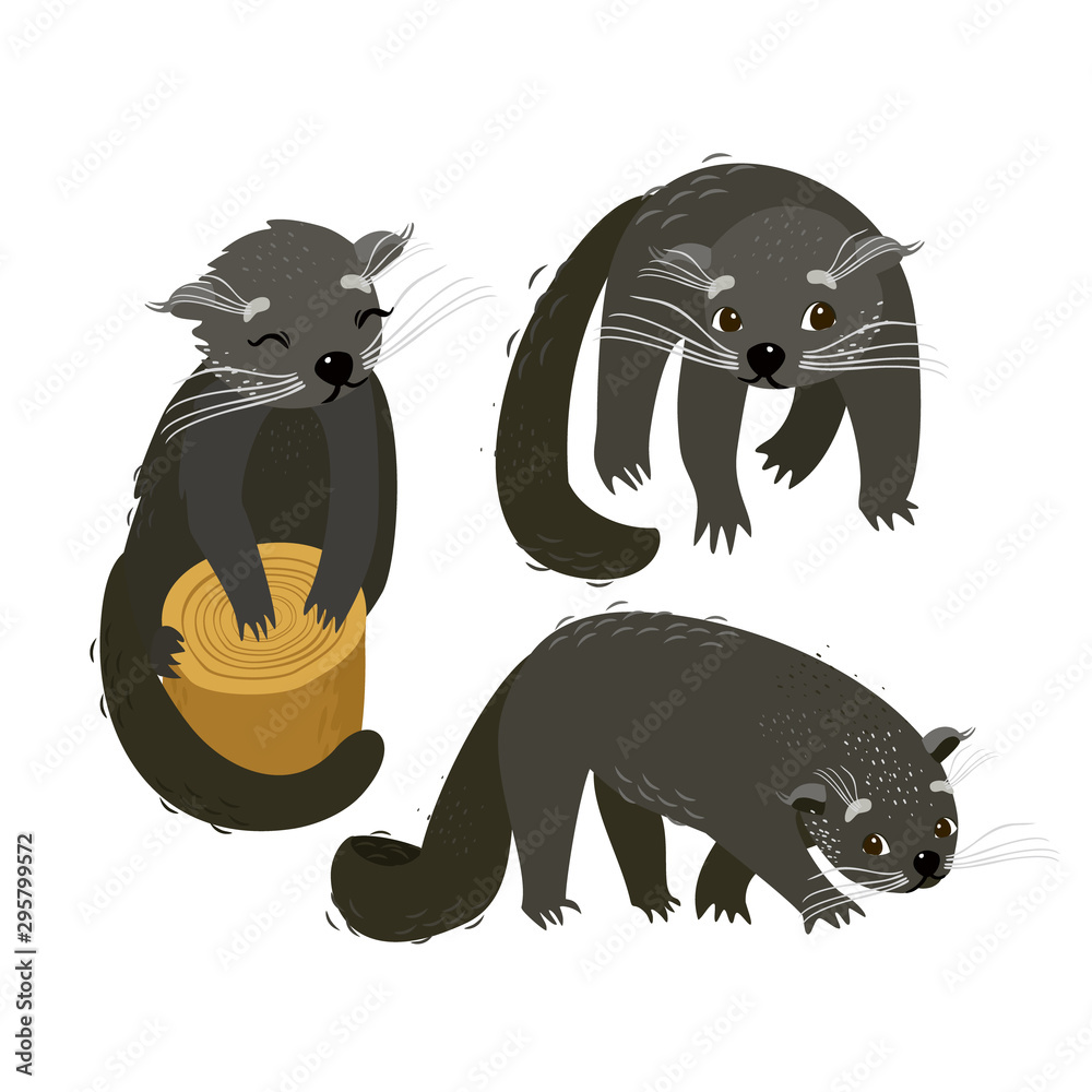 binturong drawing easy