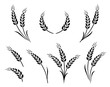 bakery set of wheat ears icon logo