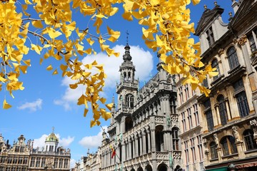 Wall Mural - Brussels city, Belgium. Grand Place. Autumn tree yellow leaves. Autumn season foliage.