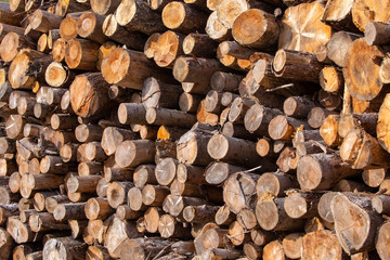 deforestation of mountain forests in northern apennines italy