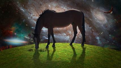 Wall Mural - Horse in green field. Eagle soars in surreal sky. Galaxies and stars