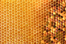 Background Texture And Pattern Of A Section Of Wax Honeycomb From A Bee Hive Filled With Golden Honey I