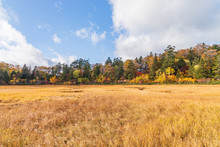 Towada Hachimantai National Park In Early Autumn