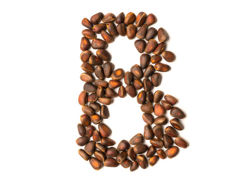 Isolated object: letter lined with ripe pine nuts