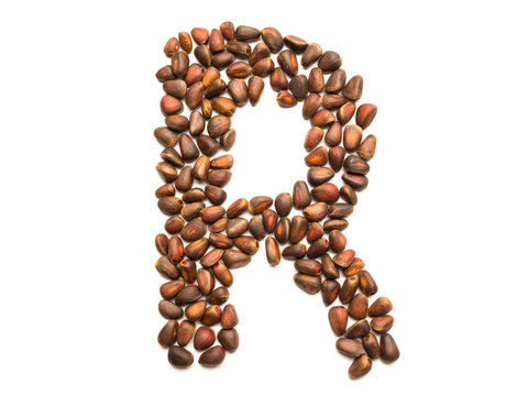 Isolated object: letter lined with ripe pine nuts