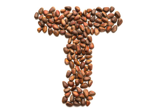 Isolated object: letter lined with ripe pine nuts