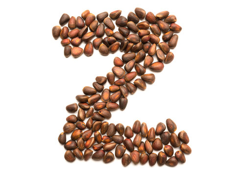 Isolated object: letter lined with ripe pine nuts