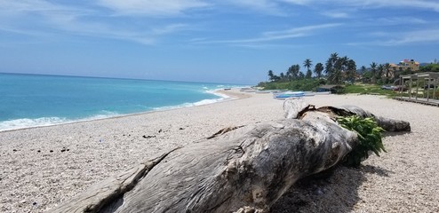 beach and sea