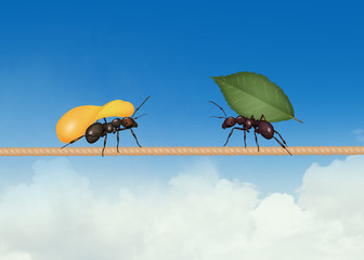 two ants with potato and leaf