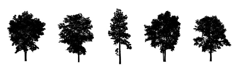 Poster - isolated Set of trees silhouette for brush Collection on White Backdrop