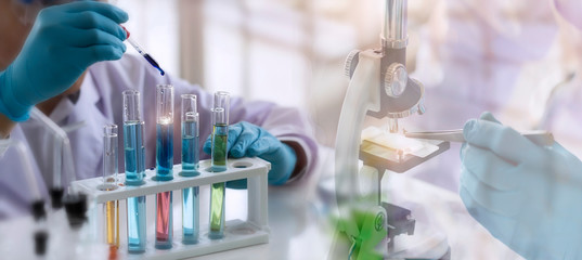 Wall Mural - laboratory concept; scientist use dropper to transfer chemical reagent to test tube. he observe the 