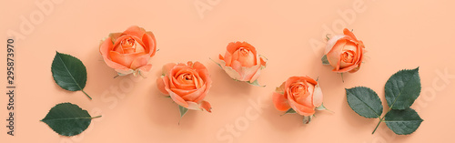 Fotomural Coral roses with leaves on a pastel pink background, border
