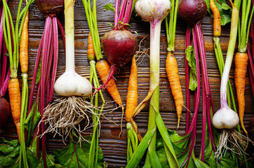 Vegetarian background of fresh organic beetroots green garlic and carrots on kitchen wooden rustic table