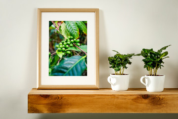 Sticker - Coffee background of free space and fresh coffee plant 