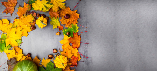 Thanksgiving background: Pumpkins, chestnuts, acorns fallen leaves on grey concrete background. Copy space for text. Halloween, Thanksgiving day or seasonal autumnal. Design mock up.