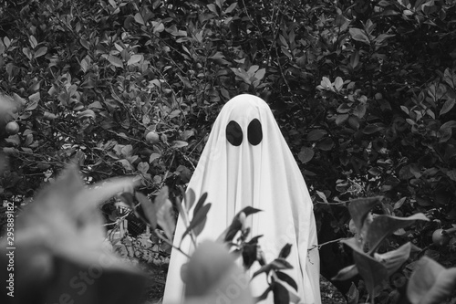 Cuadros en Lienzo Ghost covered with a white ghost sheet on a forest