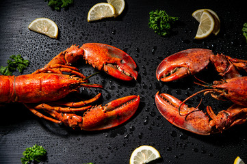 two lobsters decorated on black background / food photography