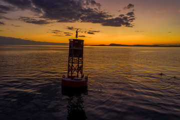 Wall Mural - Salish sea aerial