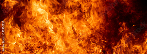 Cuadros en Lienzo Close up hot fire flame burning glowing on black dark background