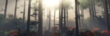 Panorama Of The Park In The Fog. Light Through The Trees.