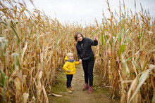 Little Boy With Young Mother Having Fun On Pumpkin Fair At Autumn. Person Walking Among The Dried Corn Stalks In A Corn Maze.