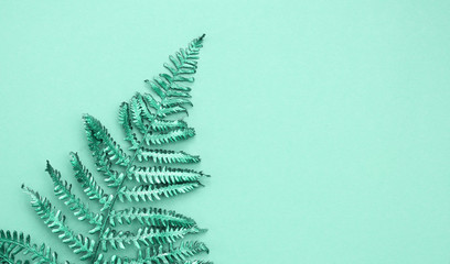 Wall Mural - Leaf of shiny trendy fern against mint background. Minimal flat lay, top view.