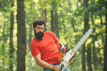 Wall Mural - The Lumberjack working in a forest. Firewood as a renewable energy source. Man doing mans job. Lumberjack with chainsaw in his hands.