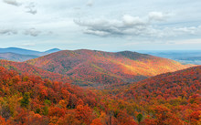 Colorful Autumn View Of Blue Ridge Mountain Ridges From Skyline Drive In Shenandoah National Park.Virginia.USA