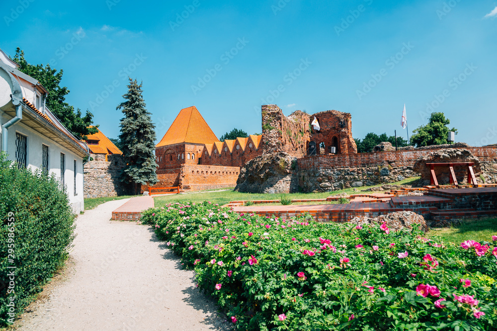 Obraz na płótnie Teutonic Castle ruins in Torun, Poland w salonie