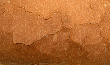 Bread Crust Texture As Background.