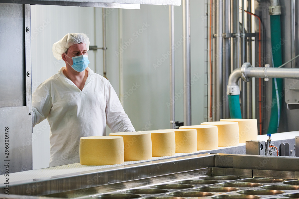 Dairy factory. worker at cheese food production conveyer - obrazy, fototapety, plakaty 