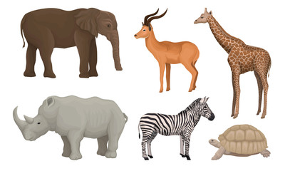 Wall Mural - african area habitants drawn in realistic manner vector illustrations