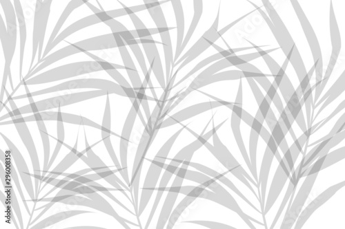 Cuadros en Lienzo Vector composition of grey alpha transparent stylized leaves on a white backgrou
