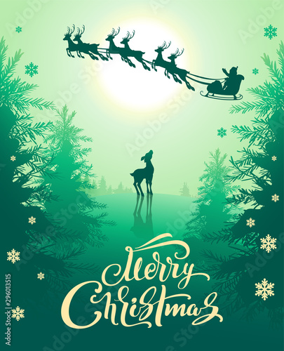 Fotografie, Obraz Merry Christmas greeting card template text