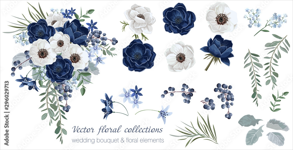 Vector floral set with leaves and flowers. Elements for your compositions, greeting cards or wedding invitations. Anemones - obrazy, fototapety, plakaty 