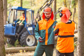 Poster - Waldarbeiter besprechen das Holzrücken im Forst