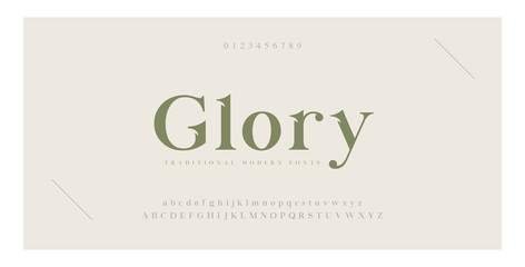 elegant alphabet letters serif font and number. classic lettering minimal fashion. typography luxury