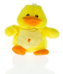 Duck plush doll isolated on white background with shadow reflection