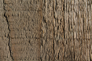 Wooden plank rough texture closeup with splinters. Natural background with copy space for text. Hardwood backdrop