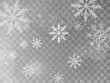 Vector heavy snowfall, snowflakes in different shapes and forms. Snow flakes, snow background. Falling Christmas 