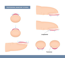 How to Paint Nails Professionally. Tips and Tricks. Manicure Tutorial. Vector Illustration