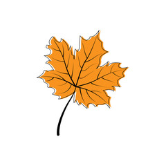 Wall Mural - autumn leaf icon. autumn maple leaf in modern simpl flat design. autumn maple leaf, isolated on whit