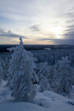 Fototapeta Na ścianę - winter scenery Vuokatti Sotkamo Finland