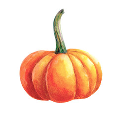 Watercolor pumpkin painting isolated on white background. Autumn harvest. Vegetarian raw food. Hand drawn sketch of a happy Thanksgiving Pumpkin.