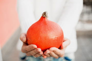 Wall Mural - View of woman holding pumpkin