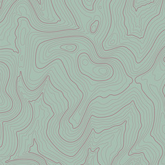Wall Mural - topographic line contour map background, geographic grid map
