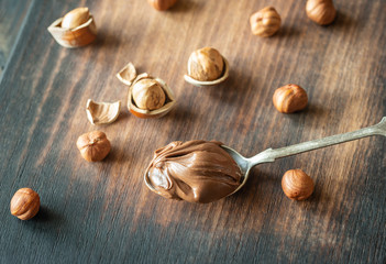 Canvas Print - Spoon of chocolate paste with hazelnuts