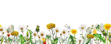 Watercolor Seamless Banner Of Garden Wildflowers,Seamless Floral Border
