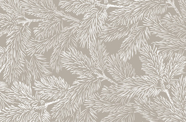 winter background with pine branches. winter card design.