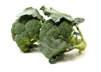 Broccoli vegetable on white background 